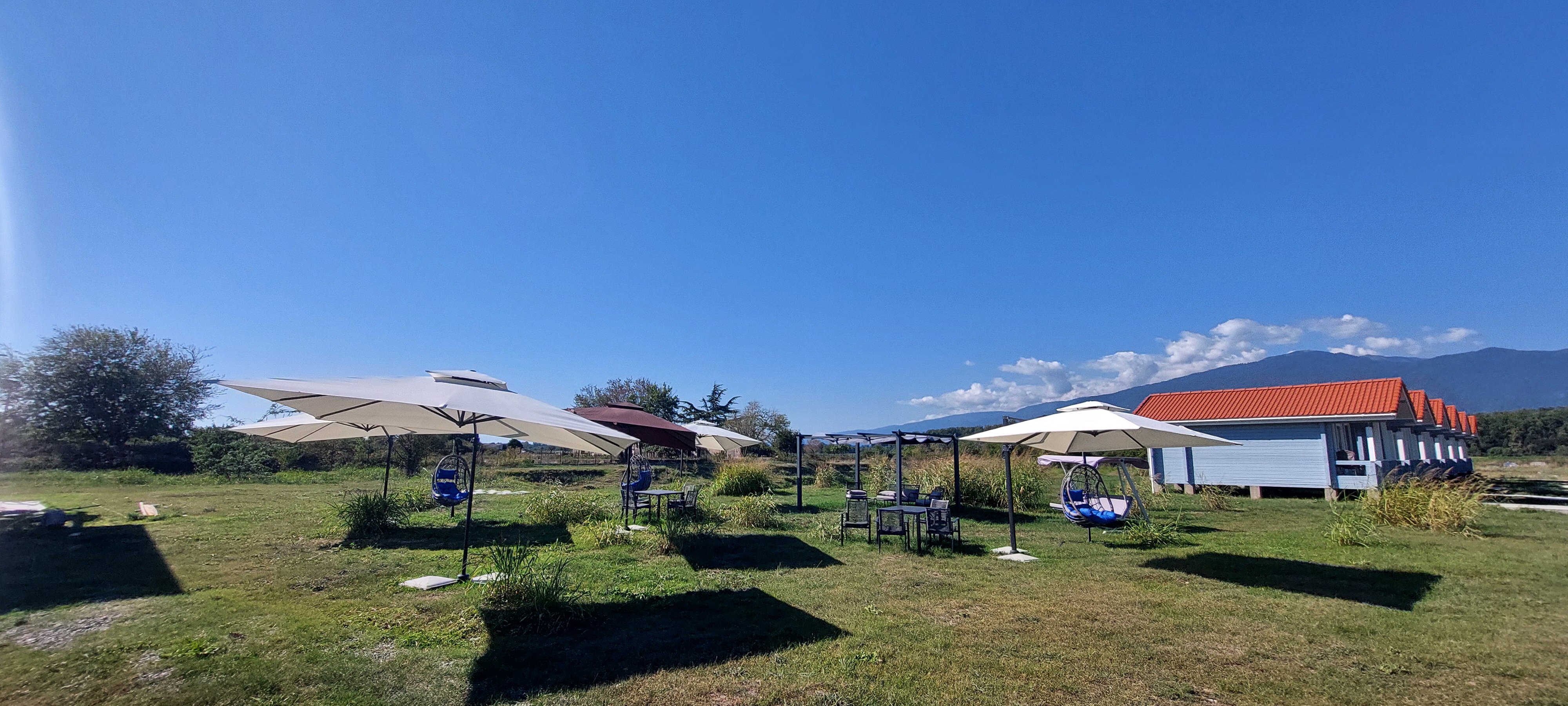 Фото White Horse