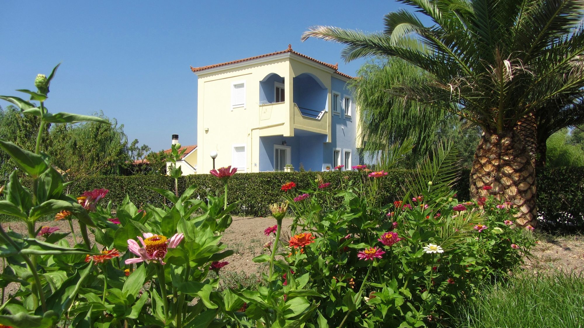 Фото Shine Studios