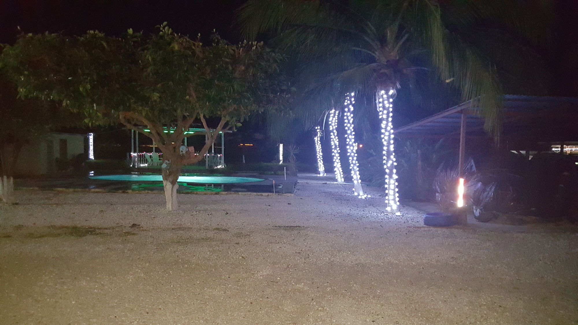 Фото Hotel La Arena