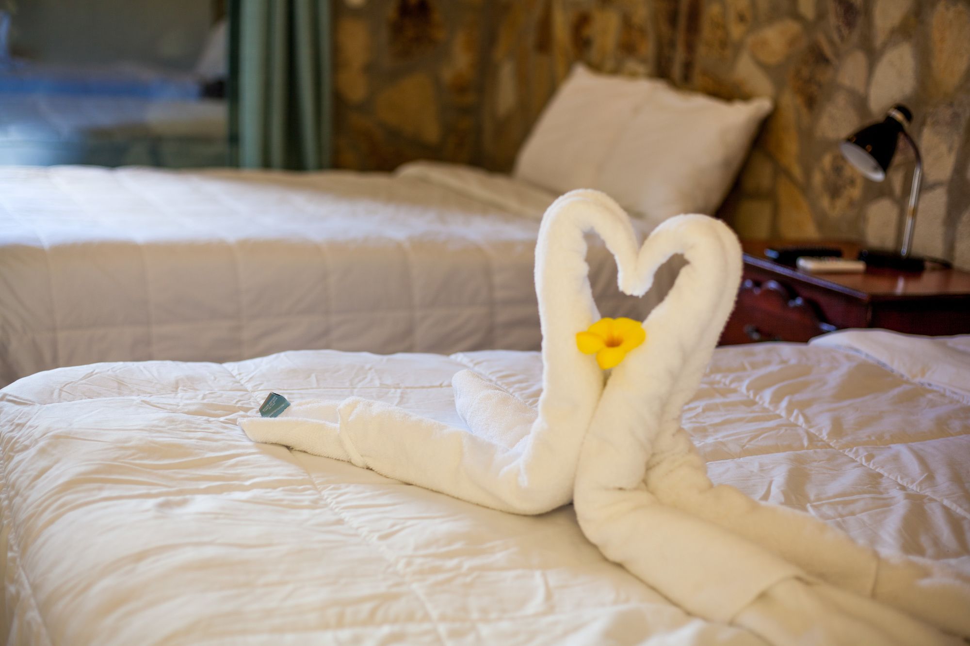 Фото Surf Ranch Hotel & Resort