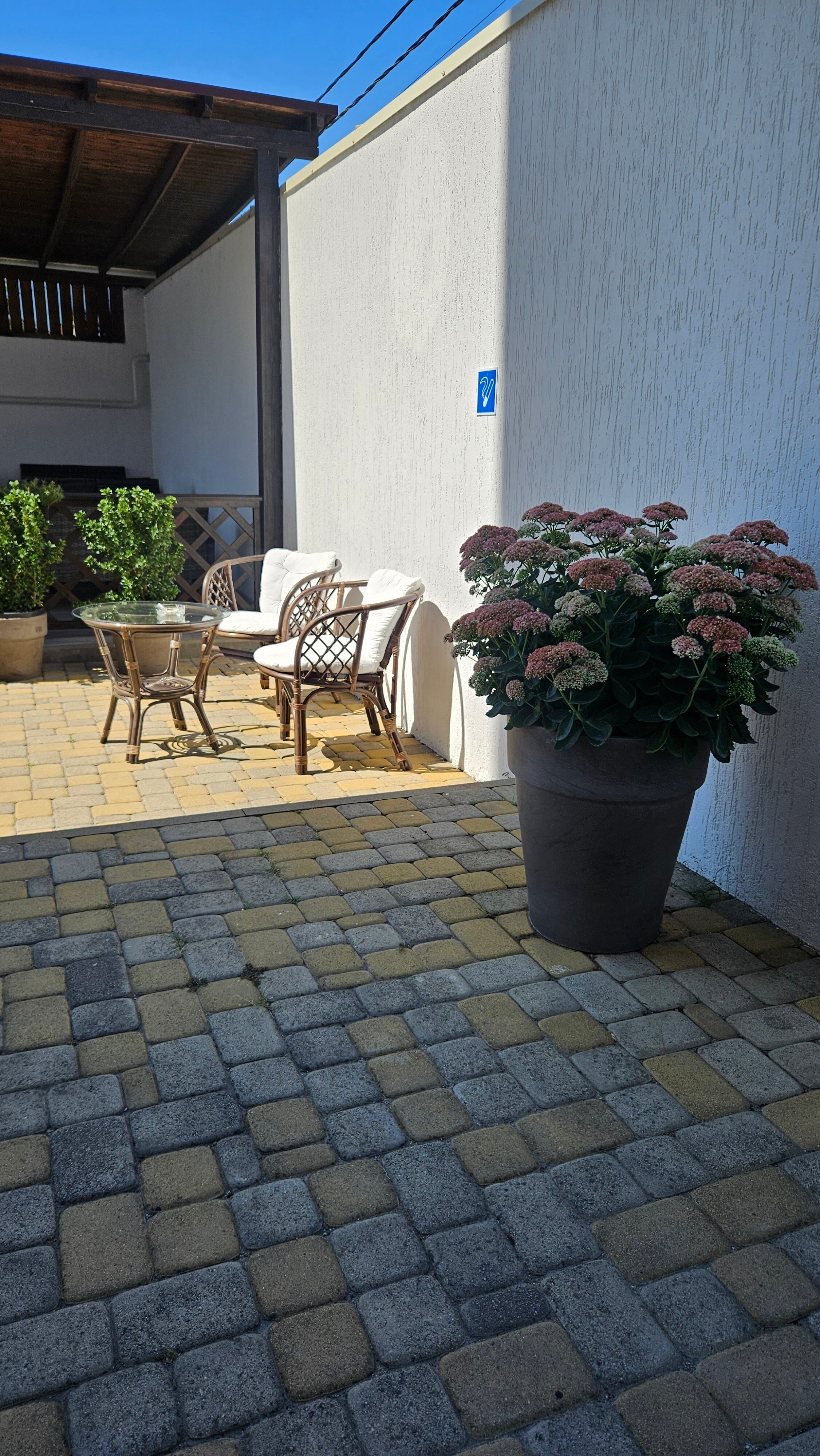 Фото Белла Виста