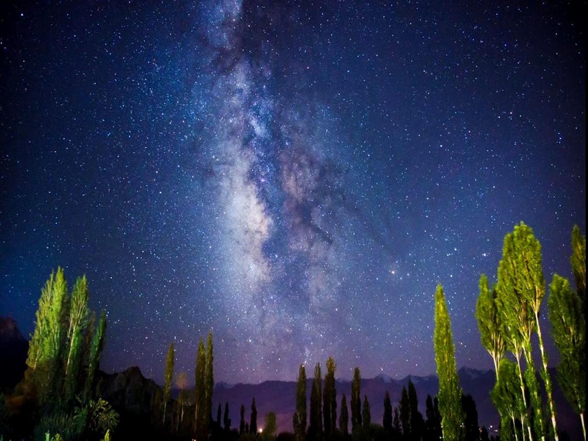 Фото Saboo Resorts