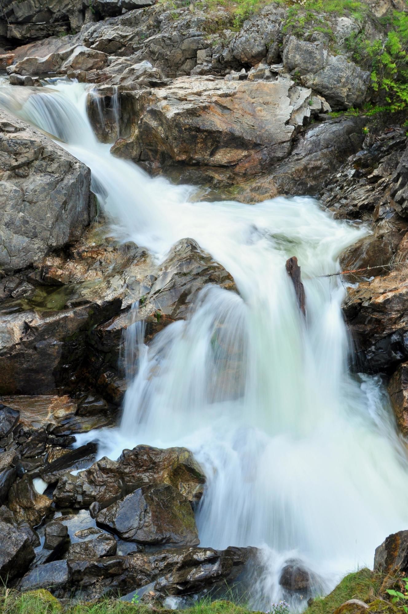 Фото Best Western Sicamous Inn