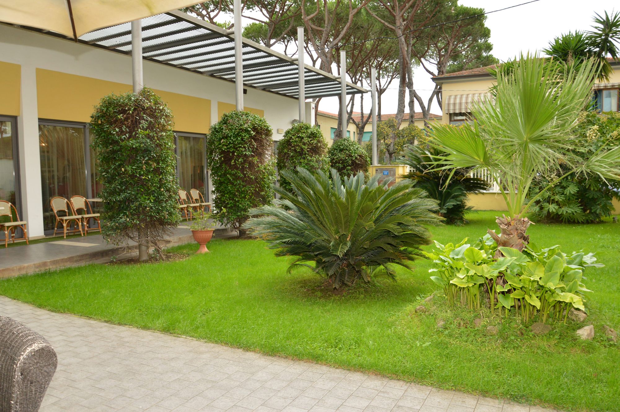 Фото Hotel Spinelli