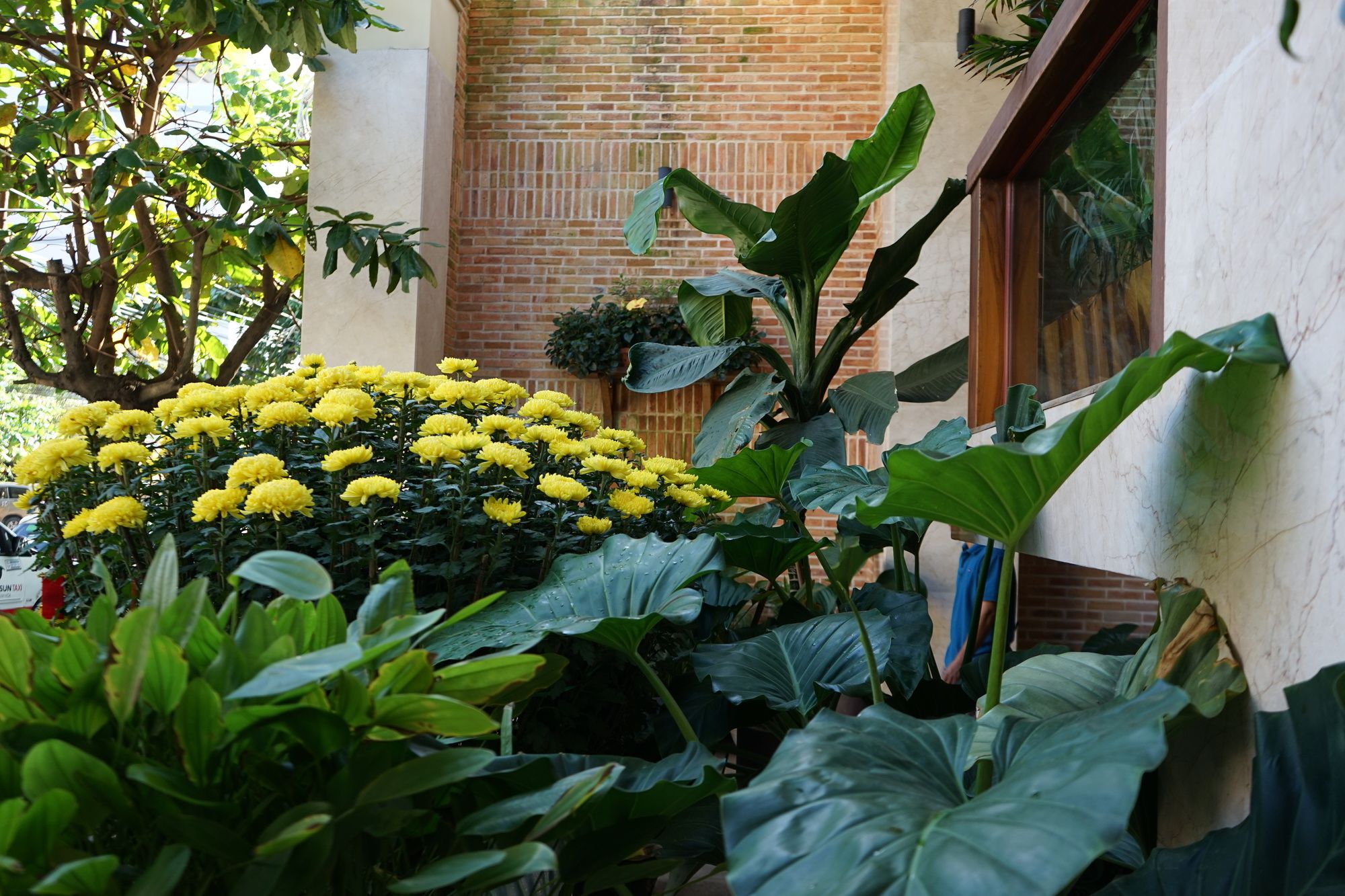 Фото SeaSing Boutique Hotel