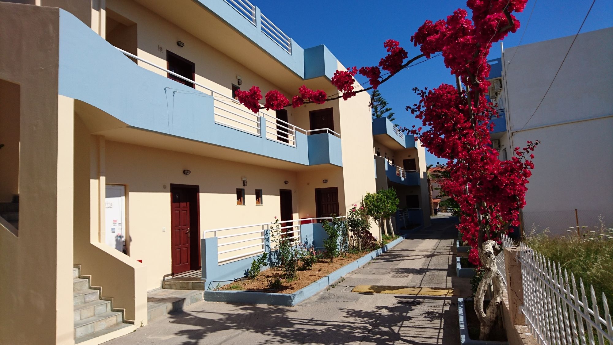 Фото Frank Apartments