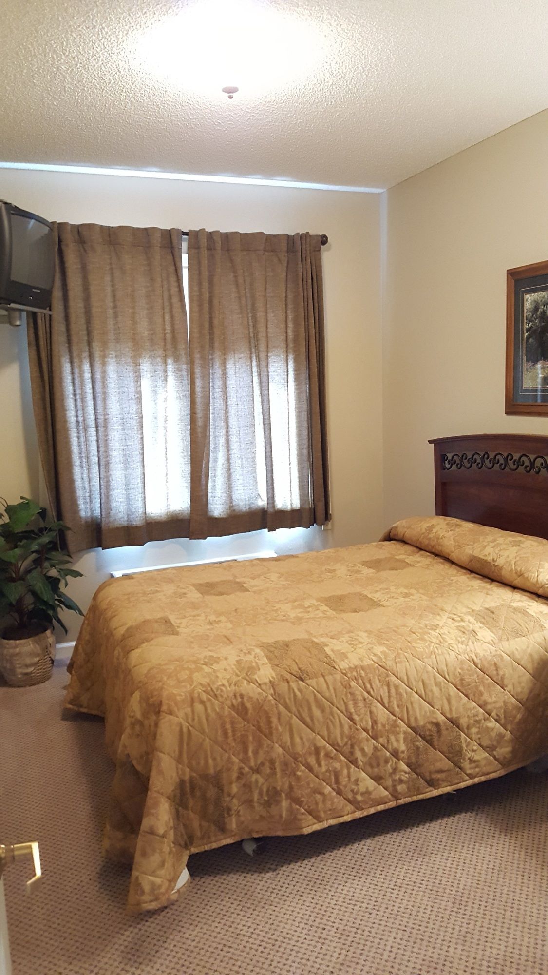 Фото Mojave Edge