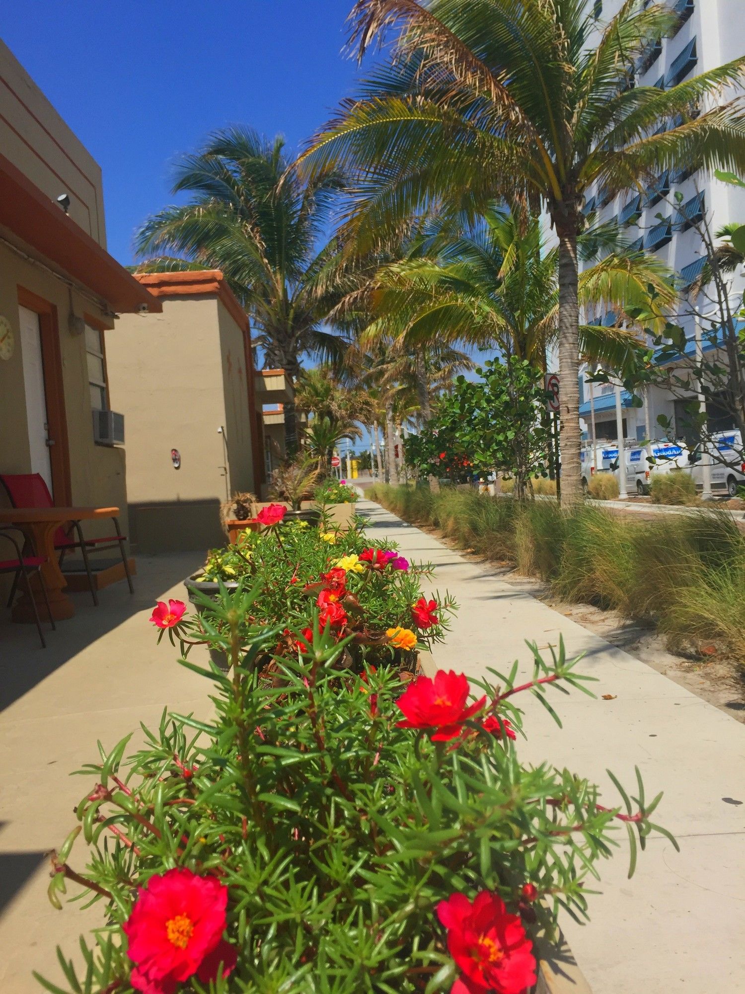 Фото The St Maurice Beach Inn