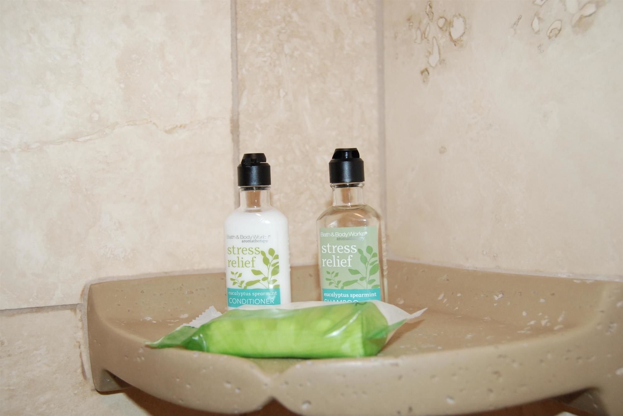 Фото Best Western Driftwood Inn