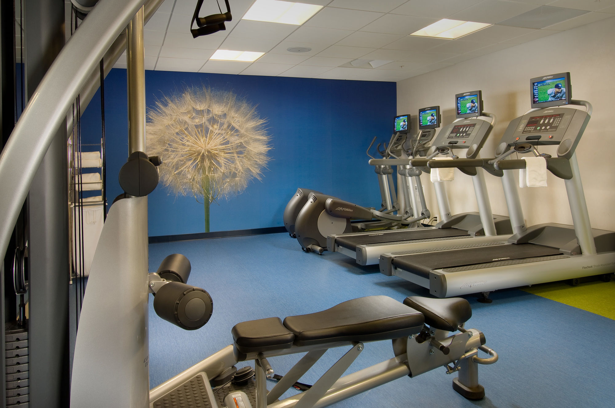 Фото SpringHill Suites Alexandria