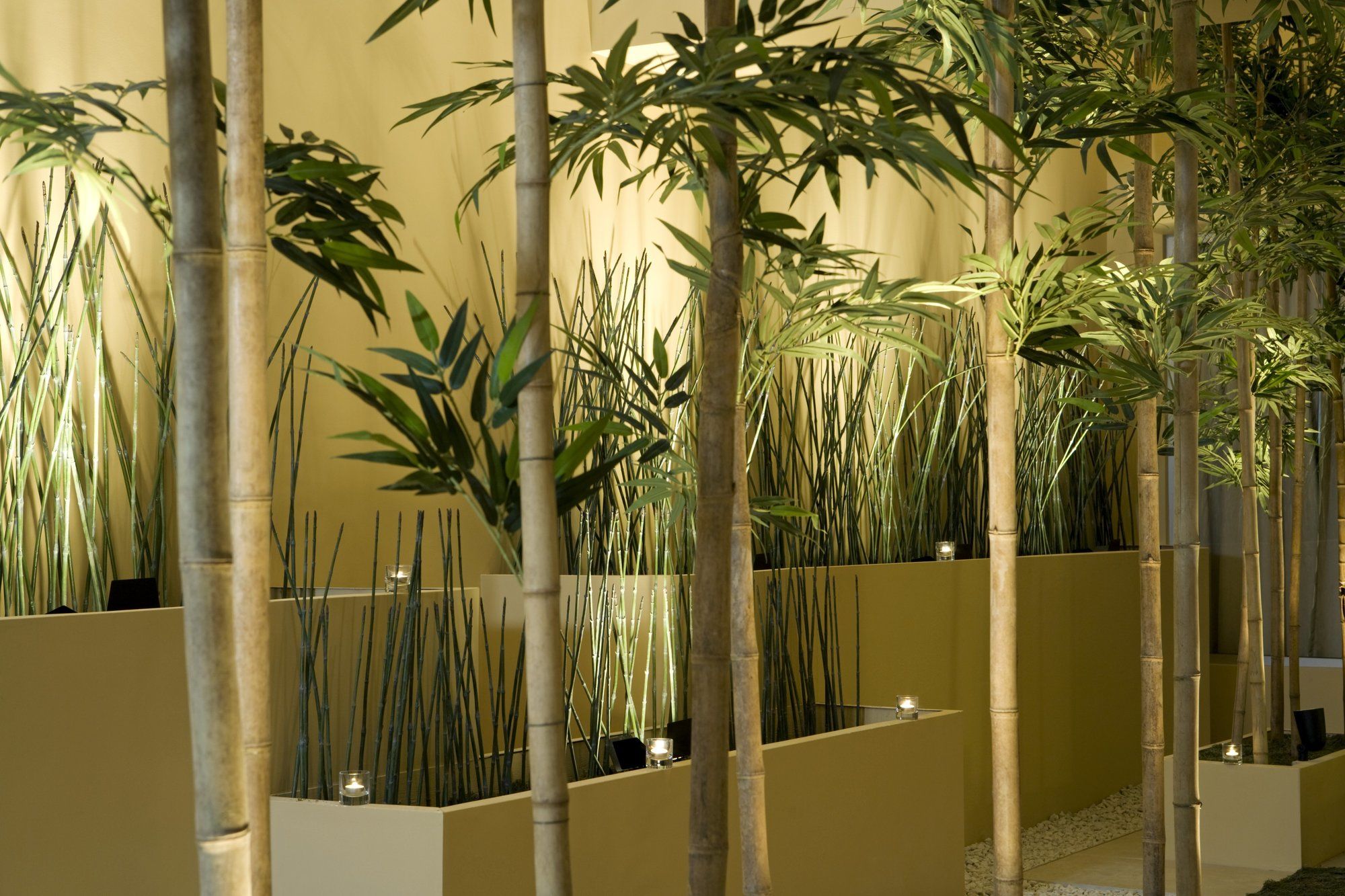 Фото The Westin Minneapolis