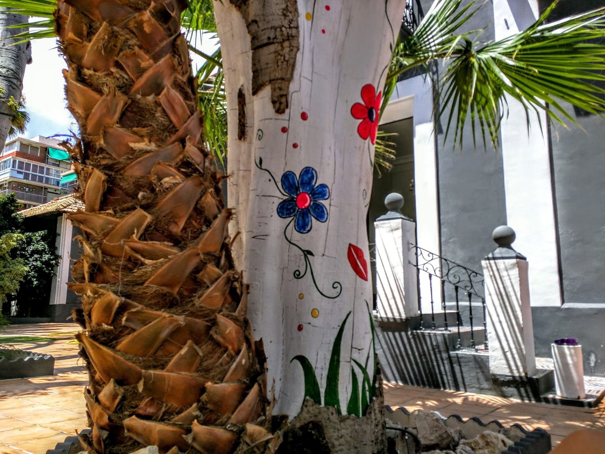 Фото Nwt Paradise Urban Hostel