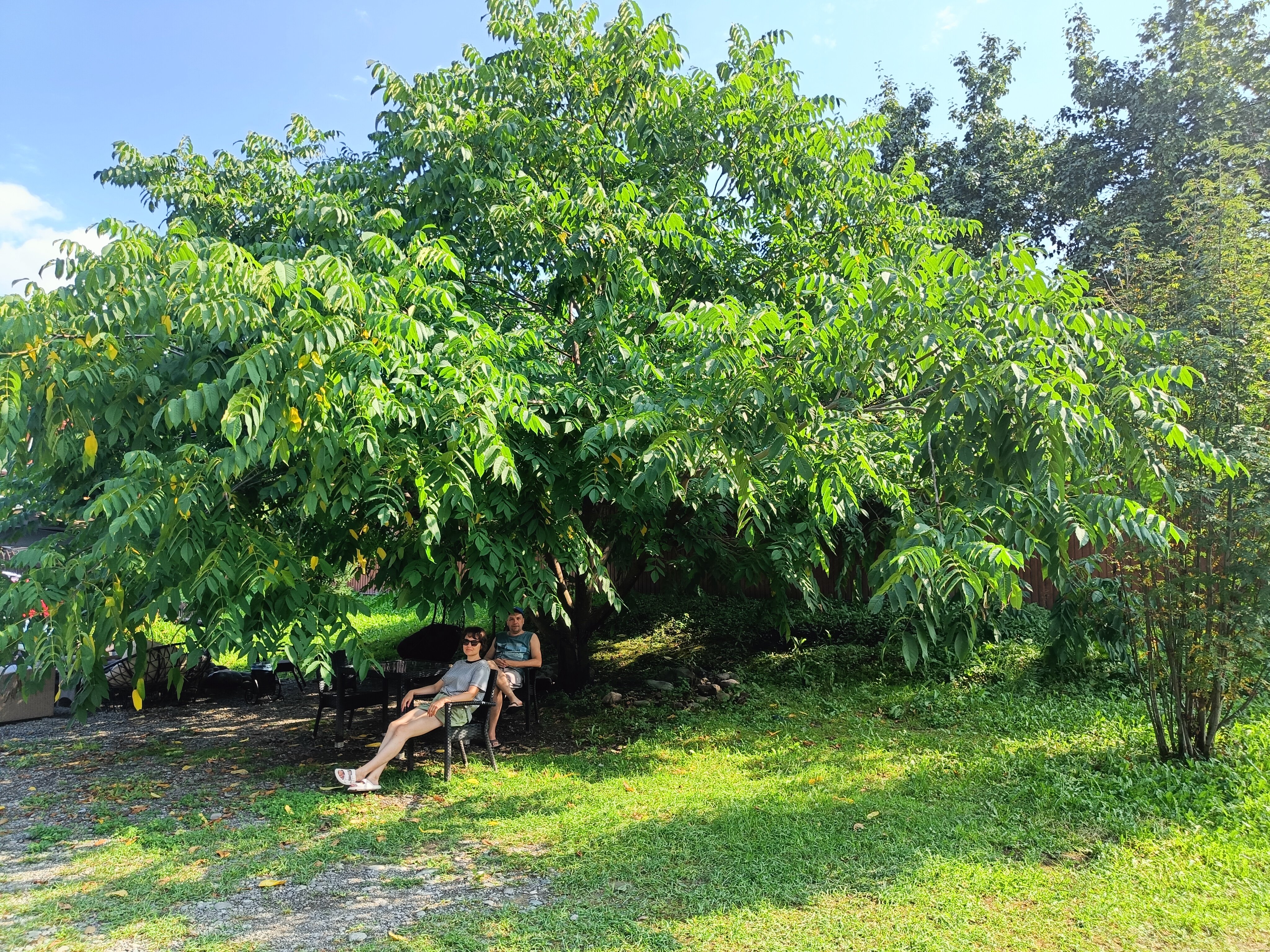 Фото Удачный