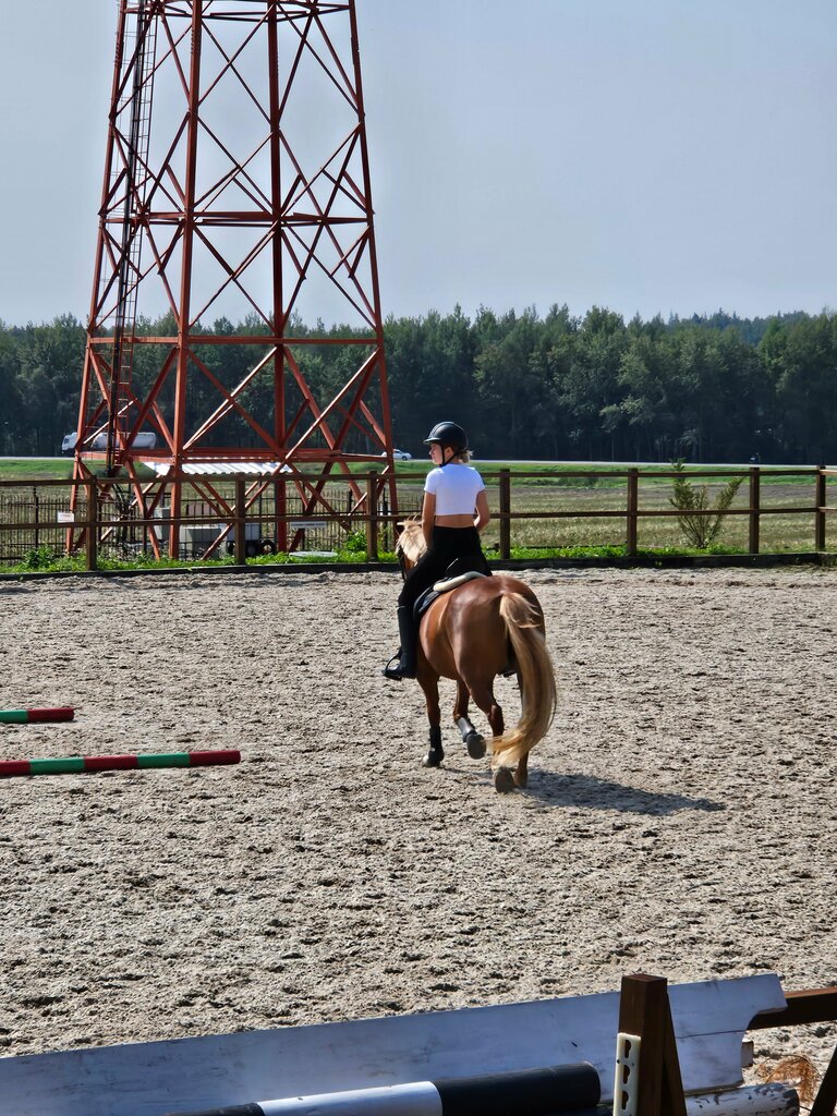 Конный клуб QHills, Минская область, фото