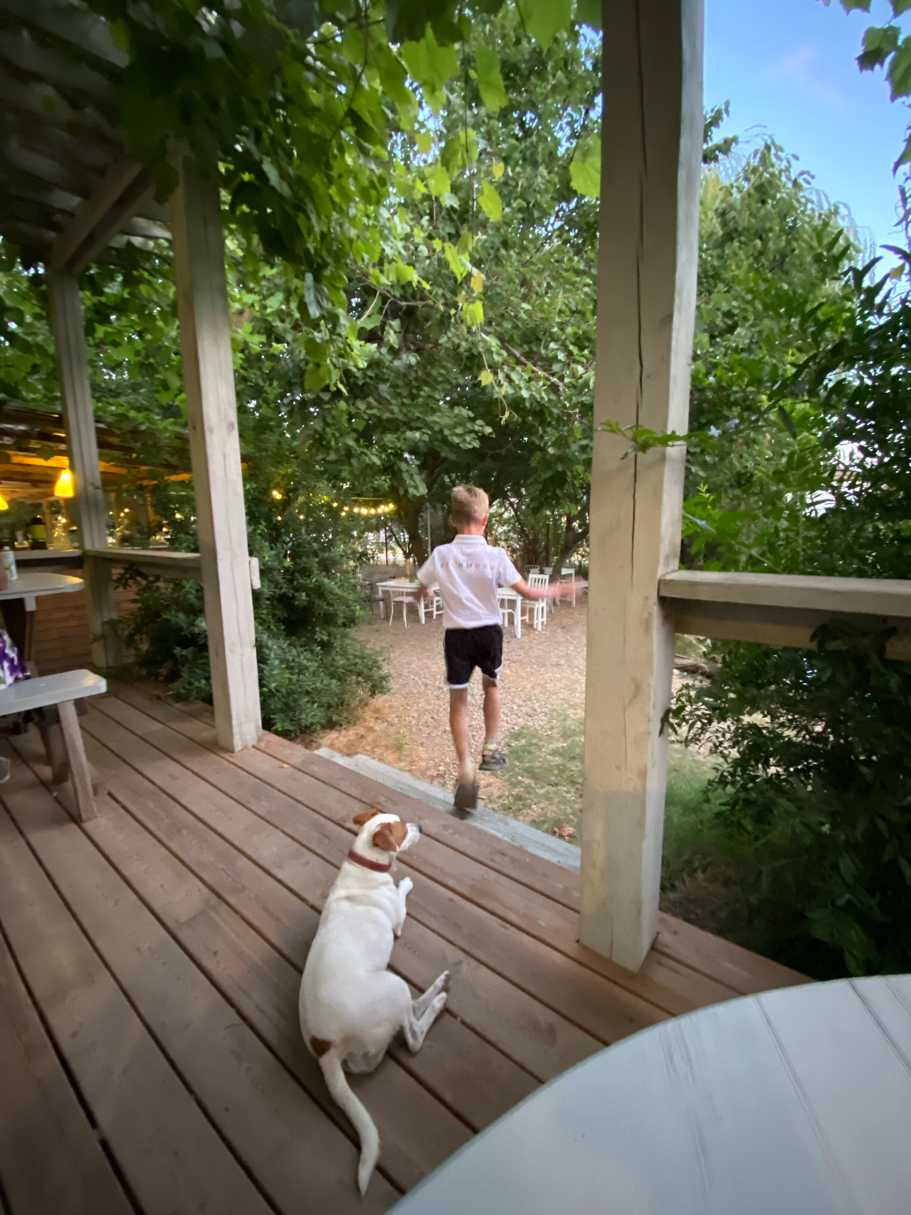 Фото Blaga House design dacha