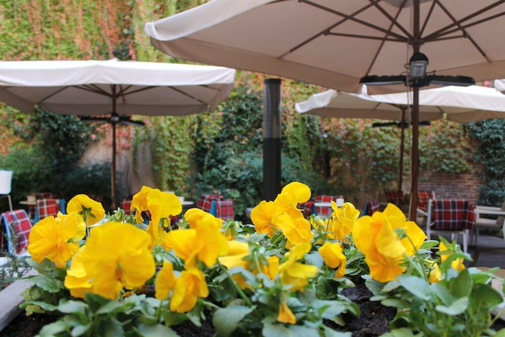 Фото Hotel Zenit Coloquio