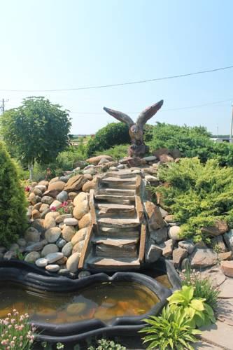 Фото Роза Ветров