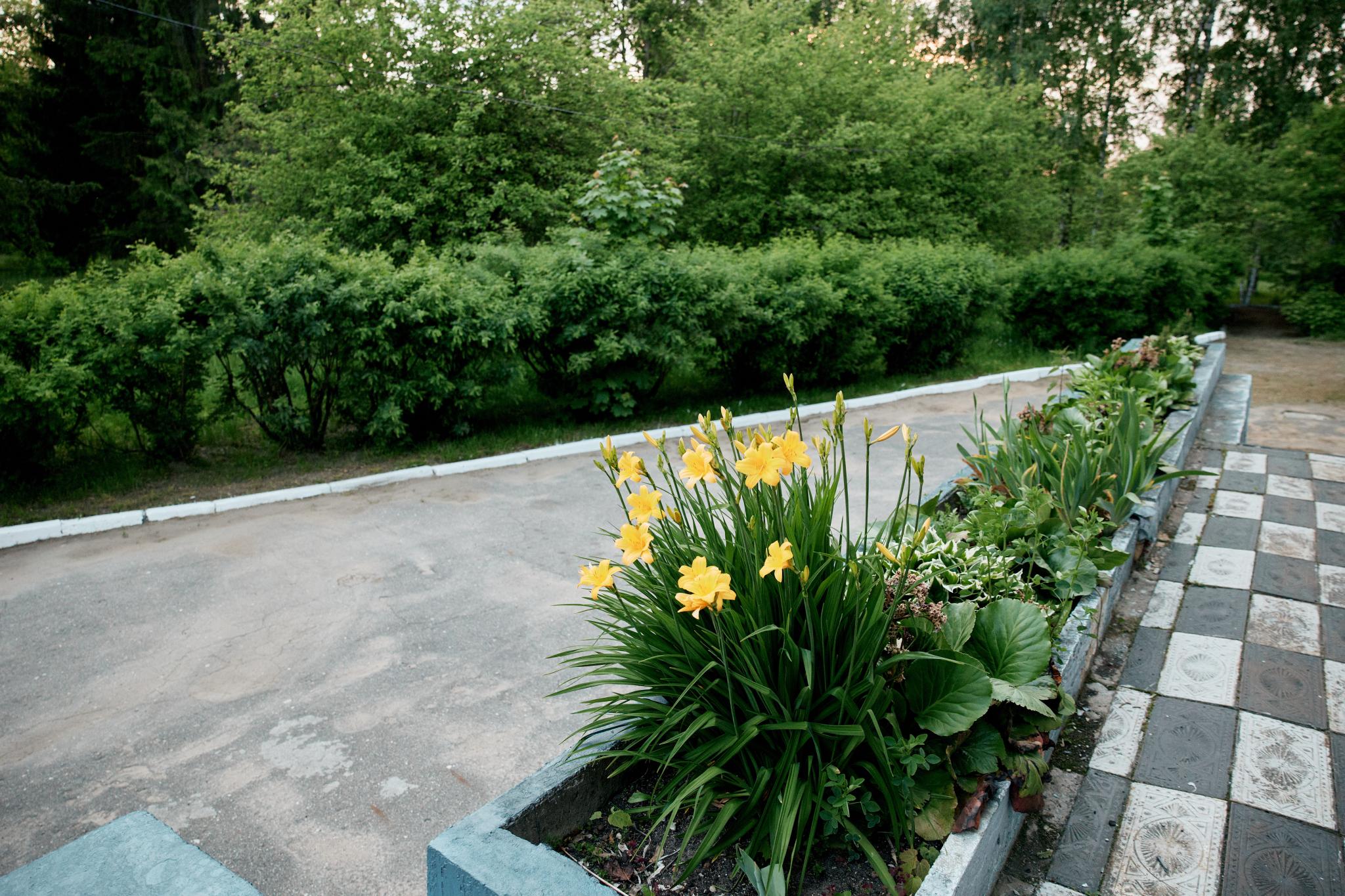 Фото Балтия