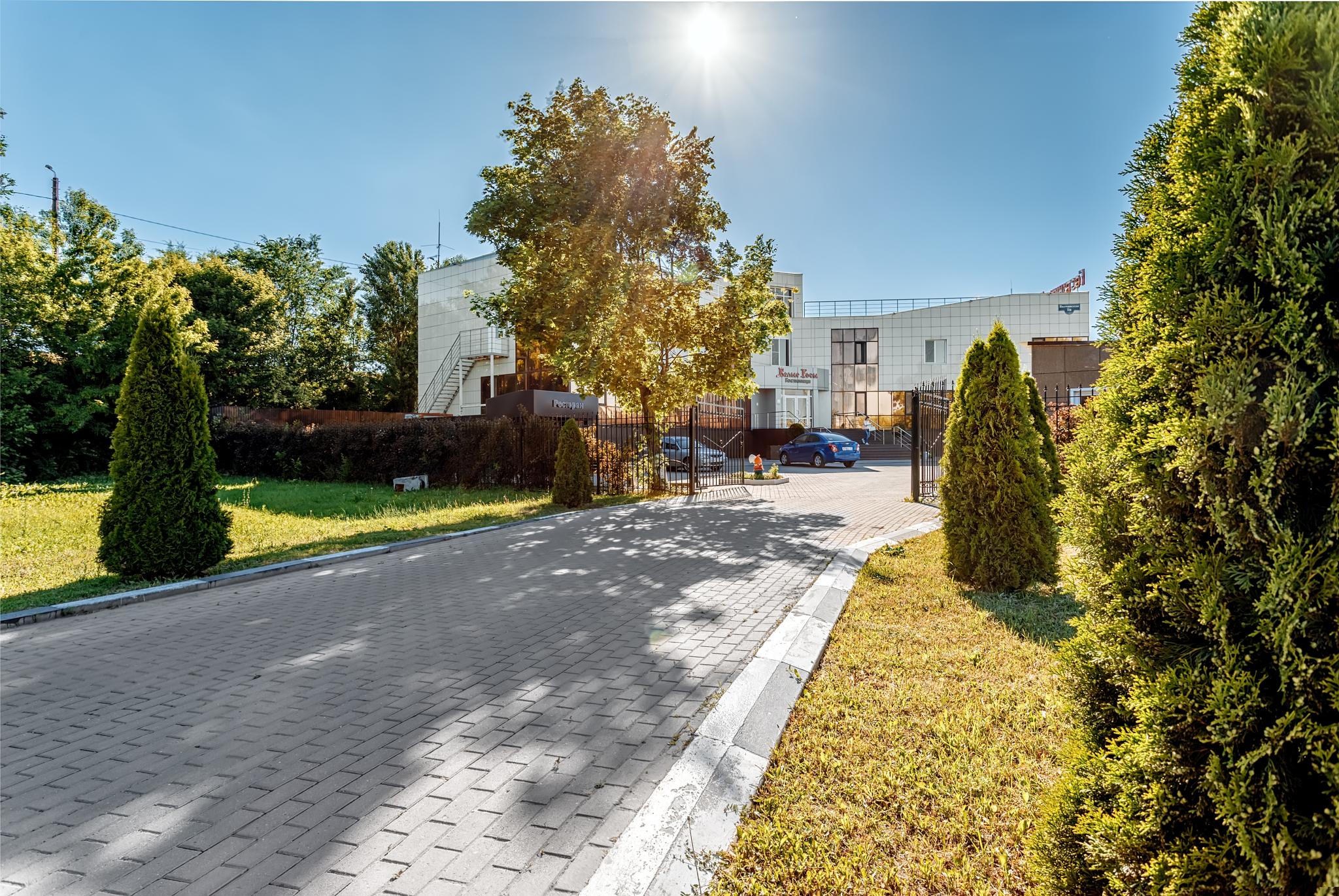 Фото Белые Росы