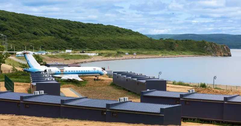 Фото Лазурная черепаха