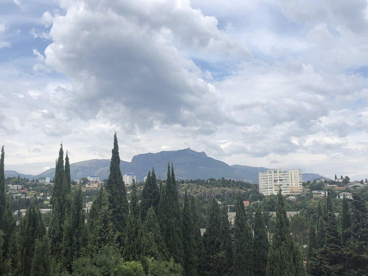 Фото Папайя