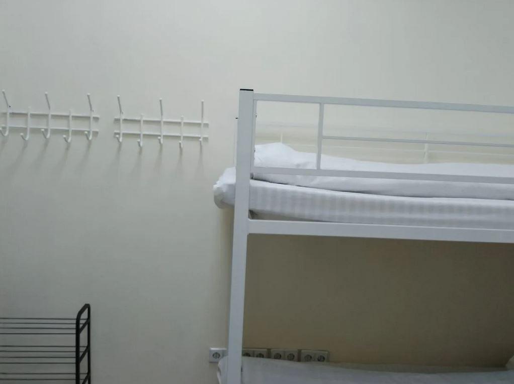 Фото Все медведи