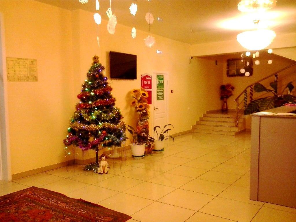 Фото Березка