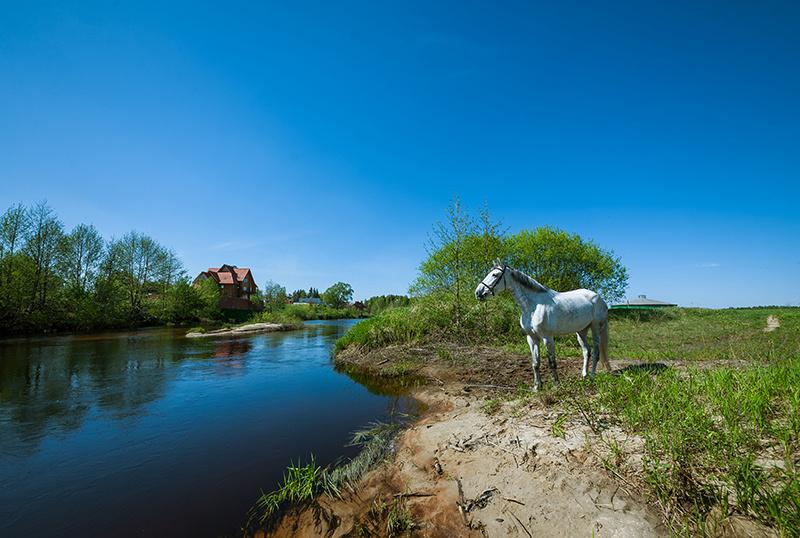 Фото Малиновая слобода