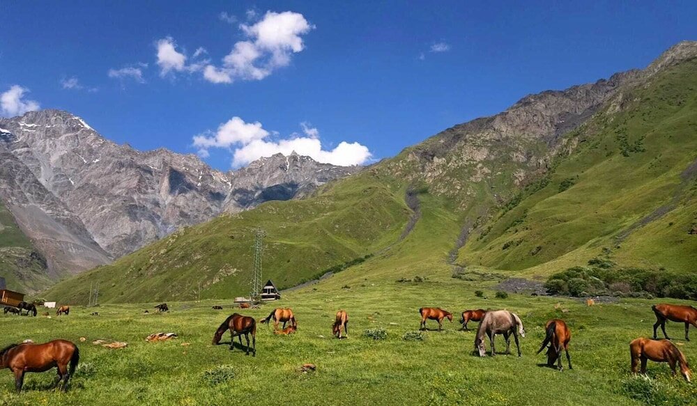 Фото Вилла Mountain Flower cottage