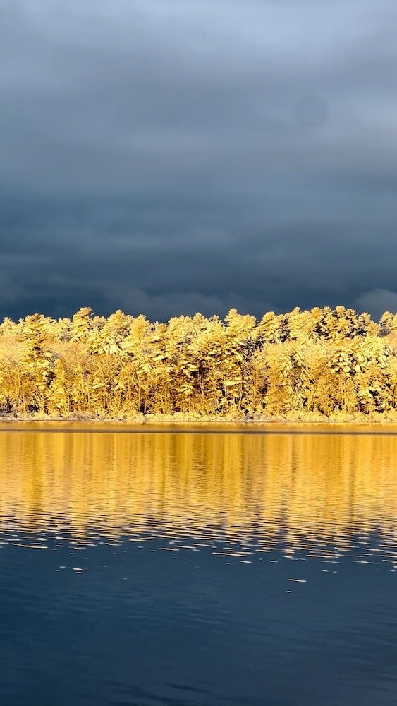 Фото Wolf Cove Inn