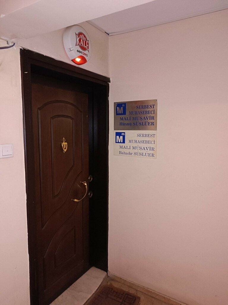 Бухгалтерские услуги Certified Public Accountant Bahadir Susluer, Измир, фото