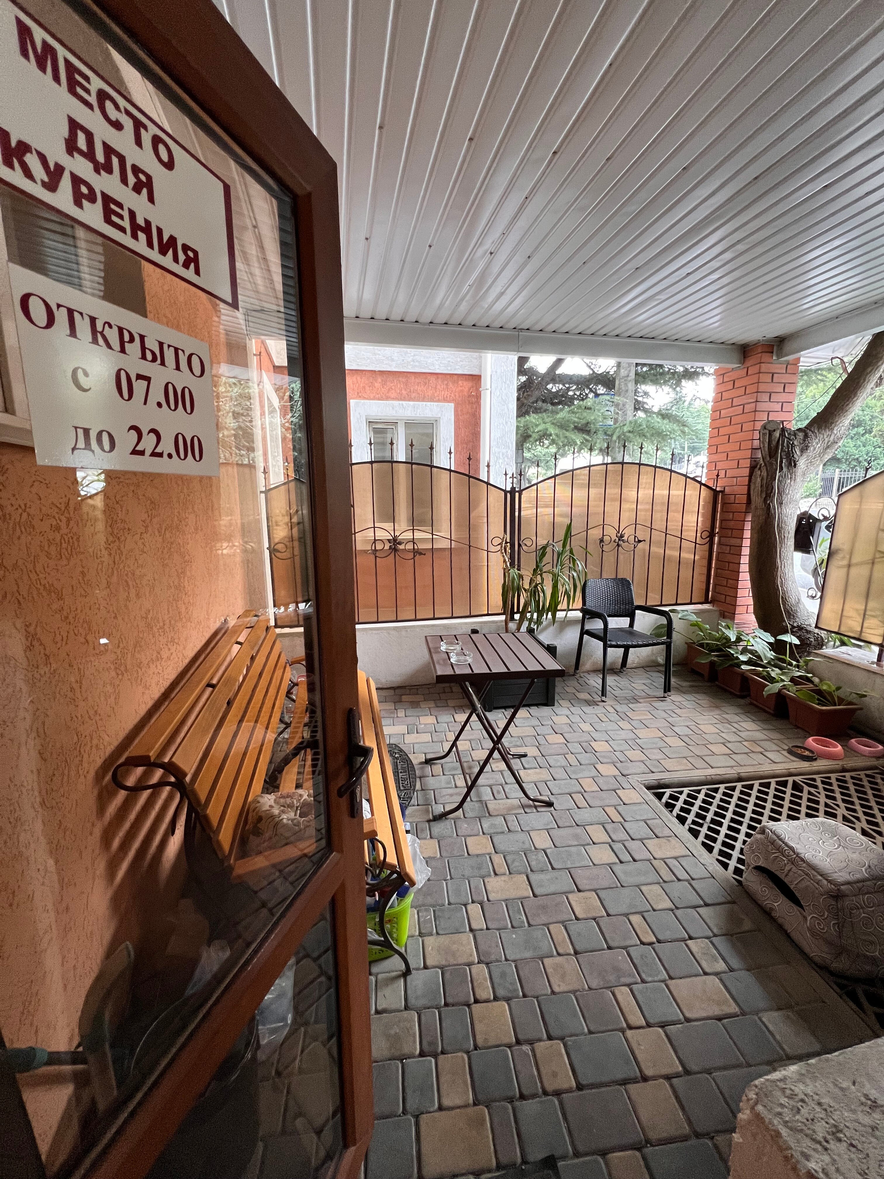 Фото Папайя