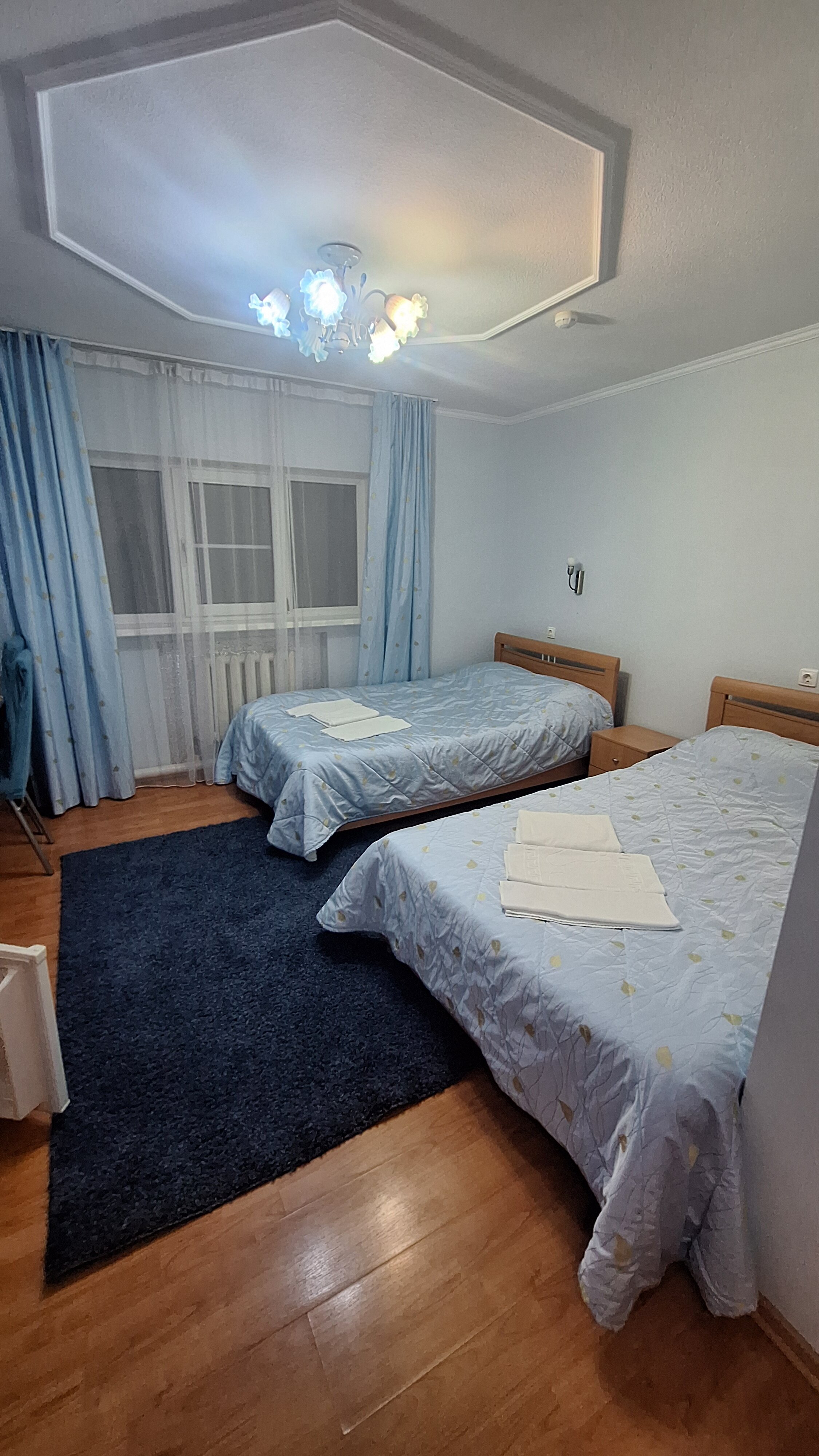 Фото Камелия