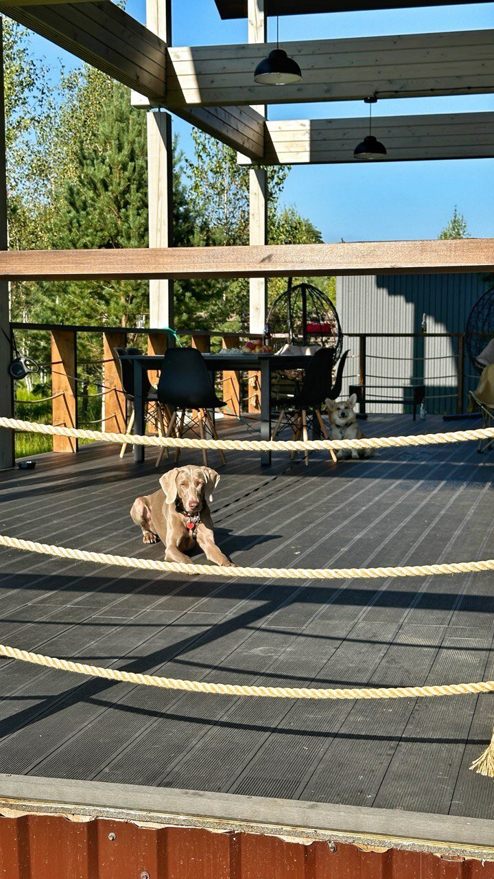 Фото Винни-Вилла