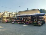 Magazin Tsvety (Sergeya Makeyeva Street, 15с4) ، محل زهور