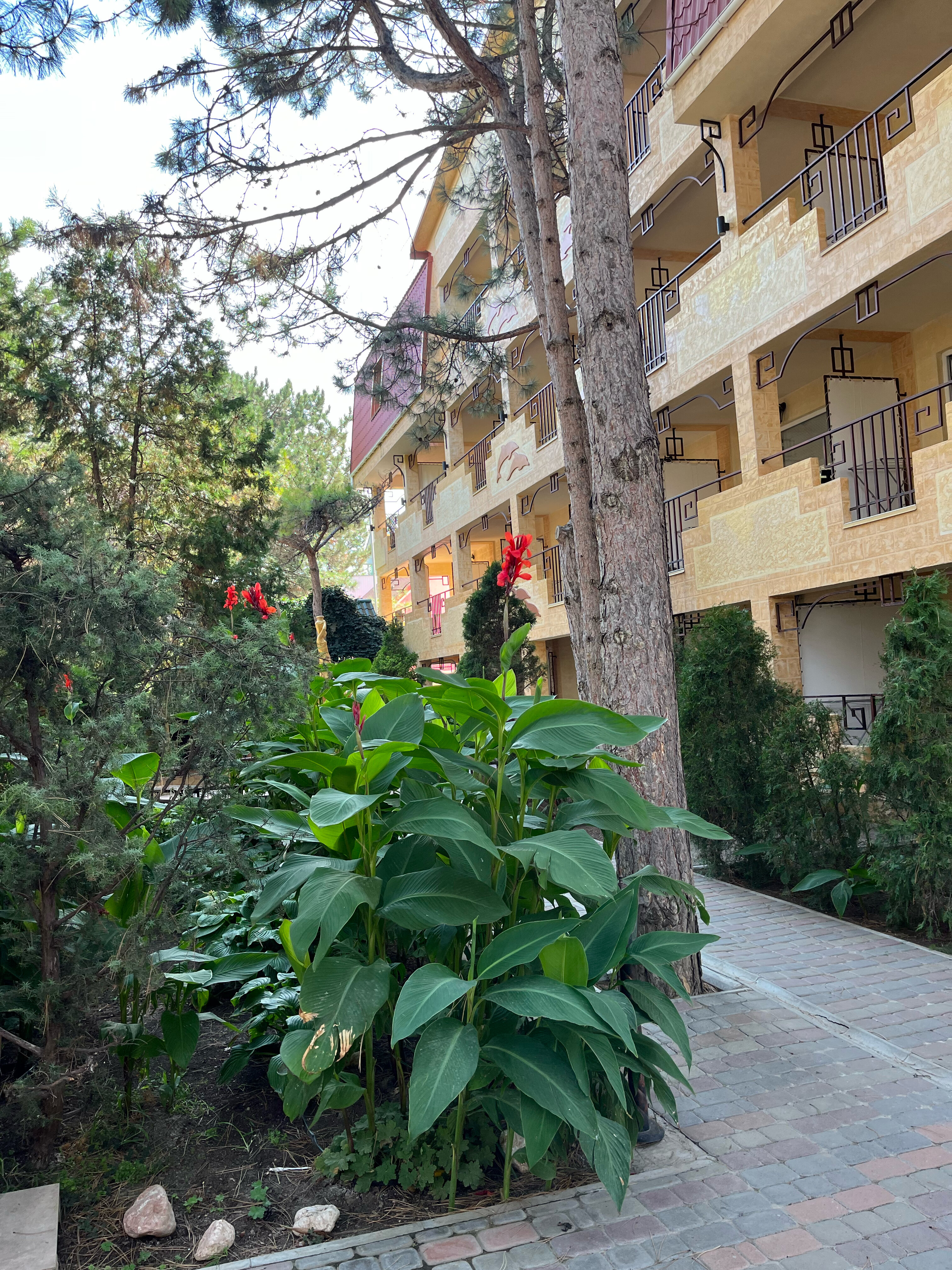 Фото Вилла Калипсо