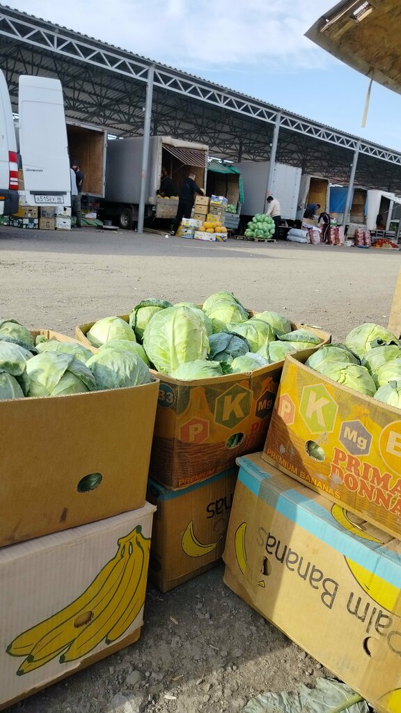 Farmers' market Сельскохозяйственная ярмарка Мечетной, Rostov Oblast, photo