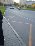 Молодёжная улица (Novosibirsk Region, Work Settlement of Koltsovo, Nikolskiy Avenue), parada de transporte público