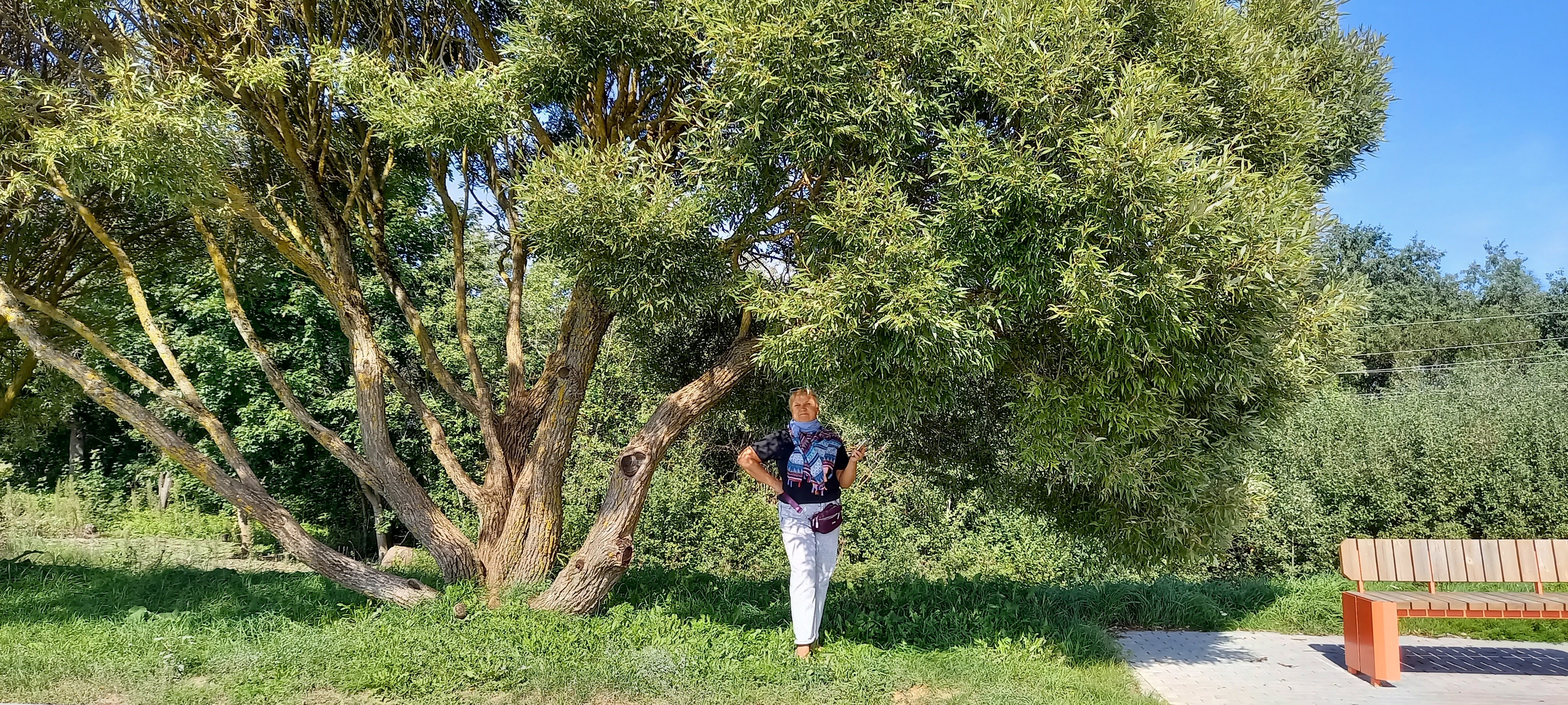 Фото Соколиха