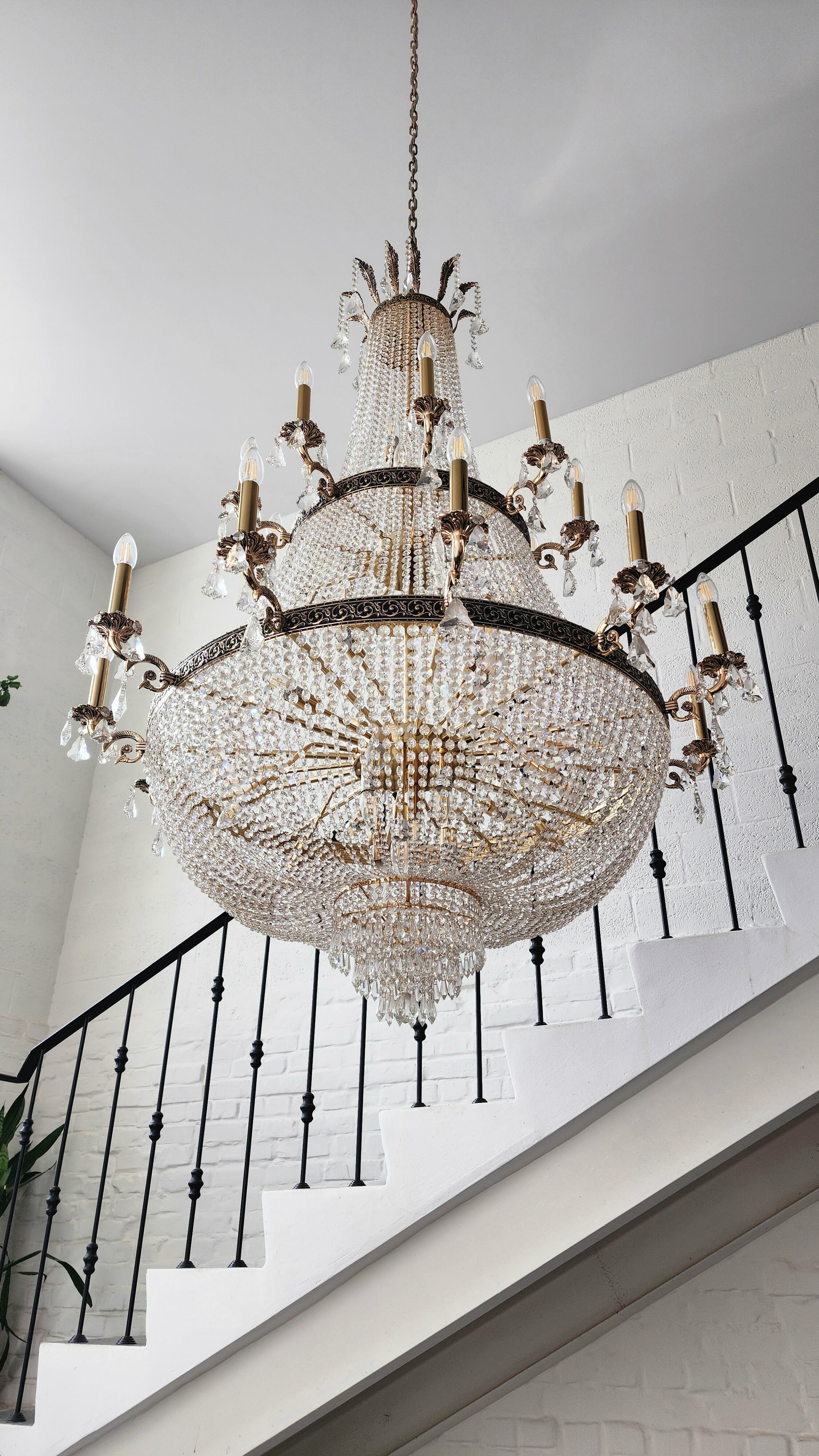 Фото Никитин