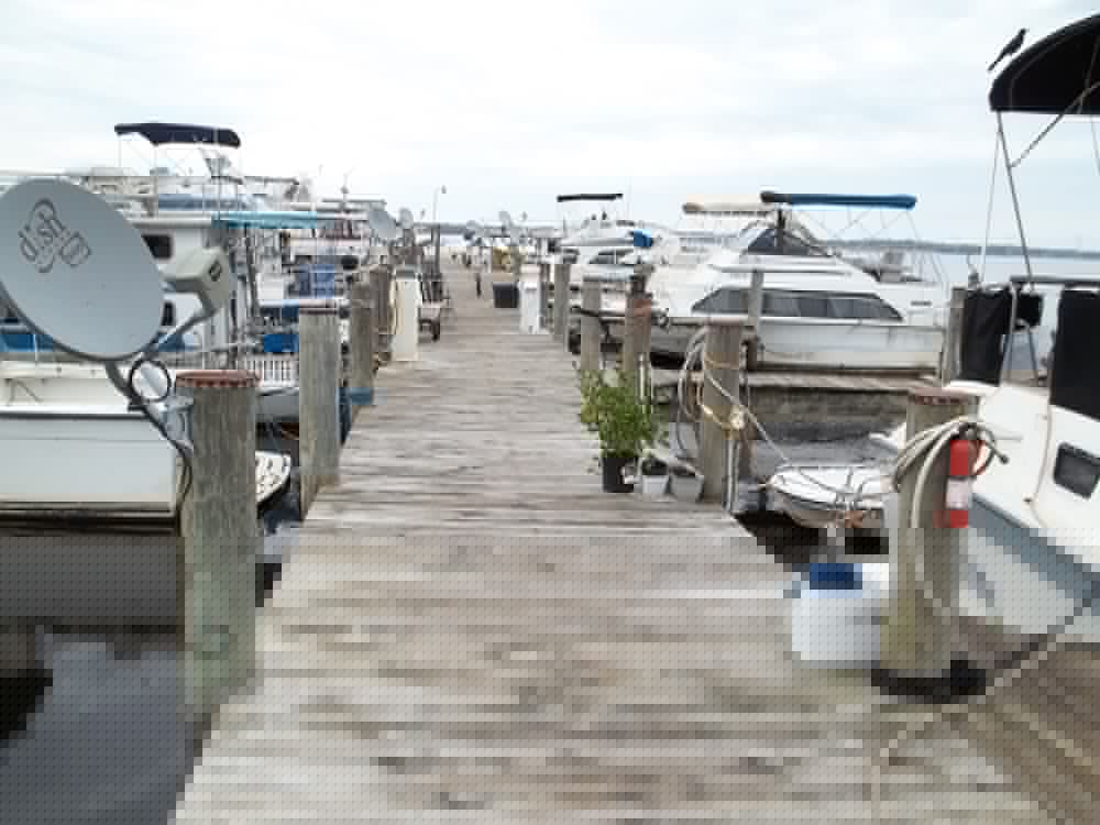 Фото 148000110889