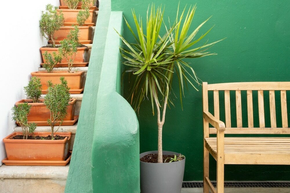 Фото Hostellicious