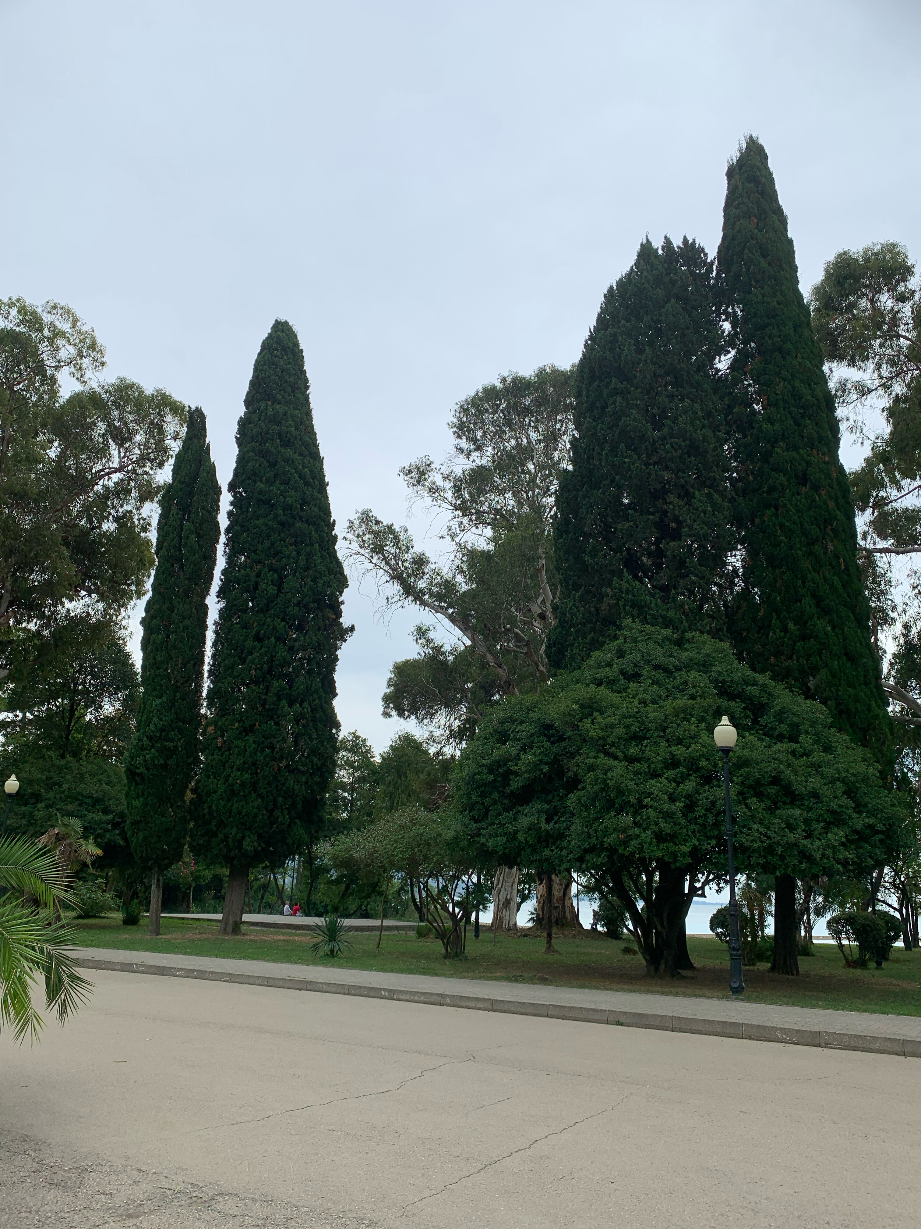 Фото Алистера