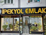 İpekyol Emlak (İstanbul, Avcılar, Merkez Mah., Fırın Sok., 23A), real estate agency