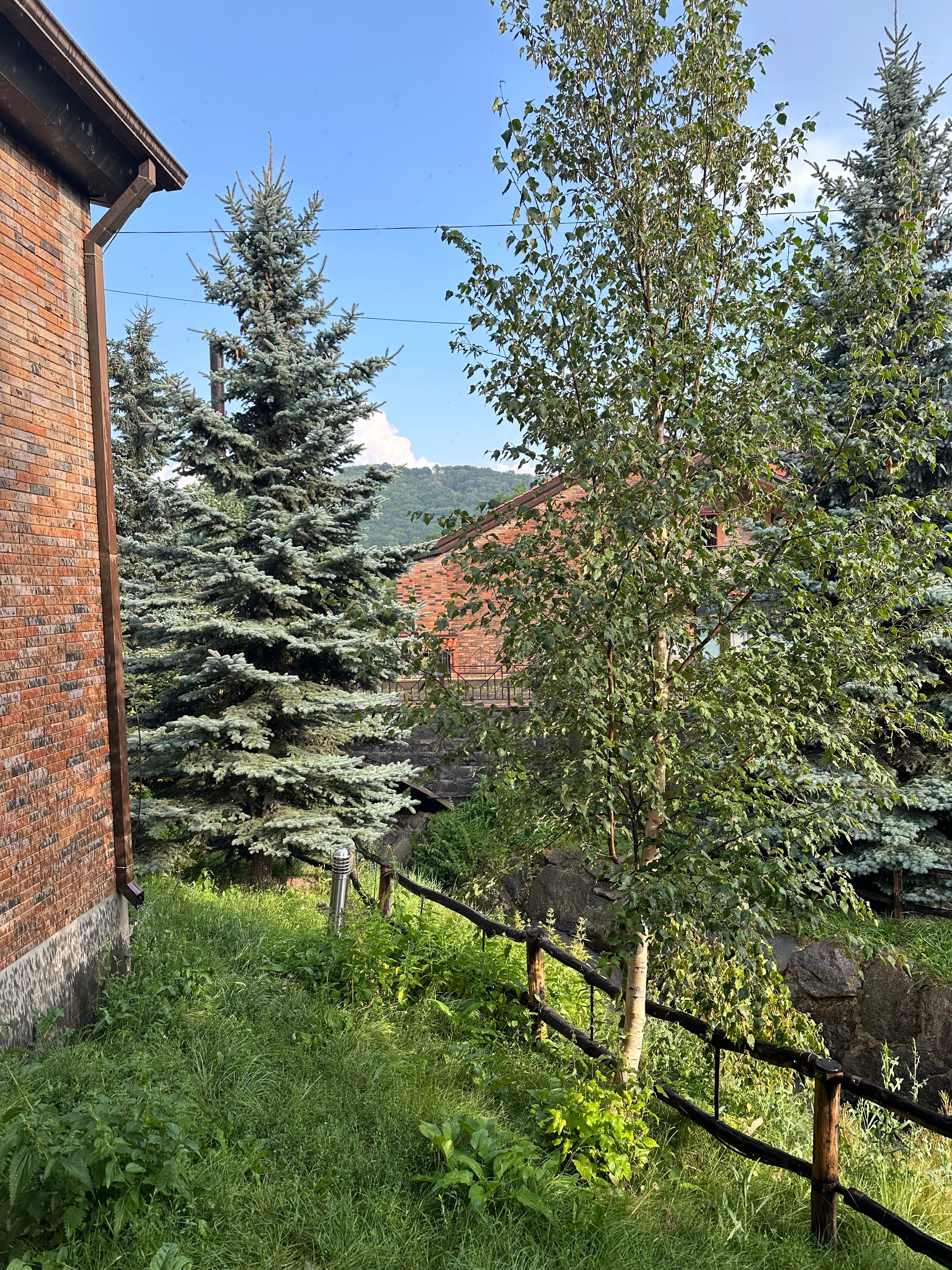 Фото Гостевой дом Тегенис