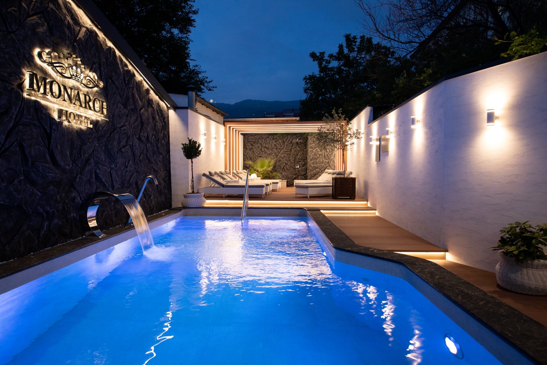 Фото Монарх