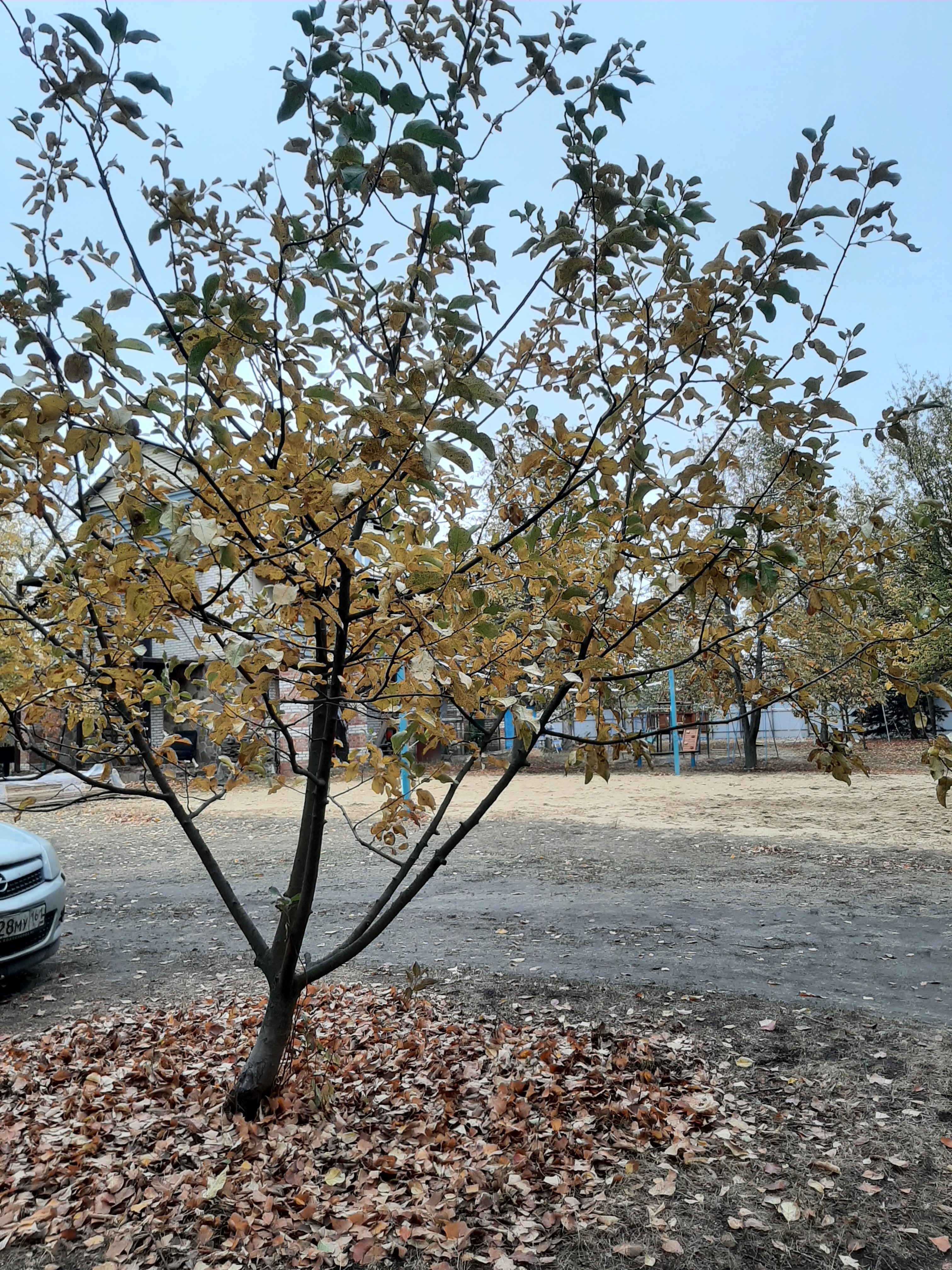 Фото Автомобилист