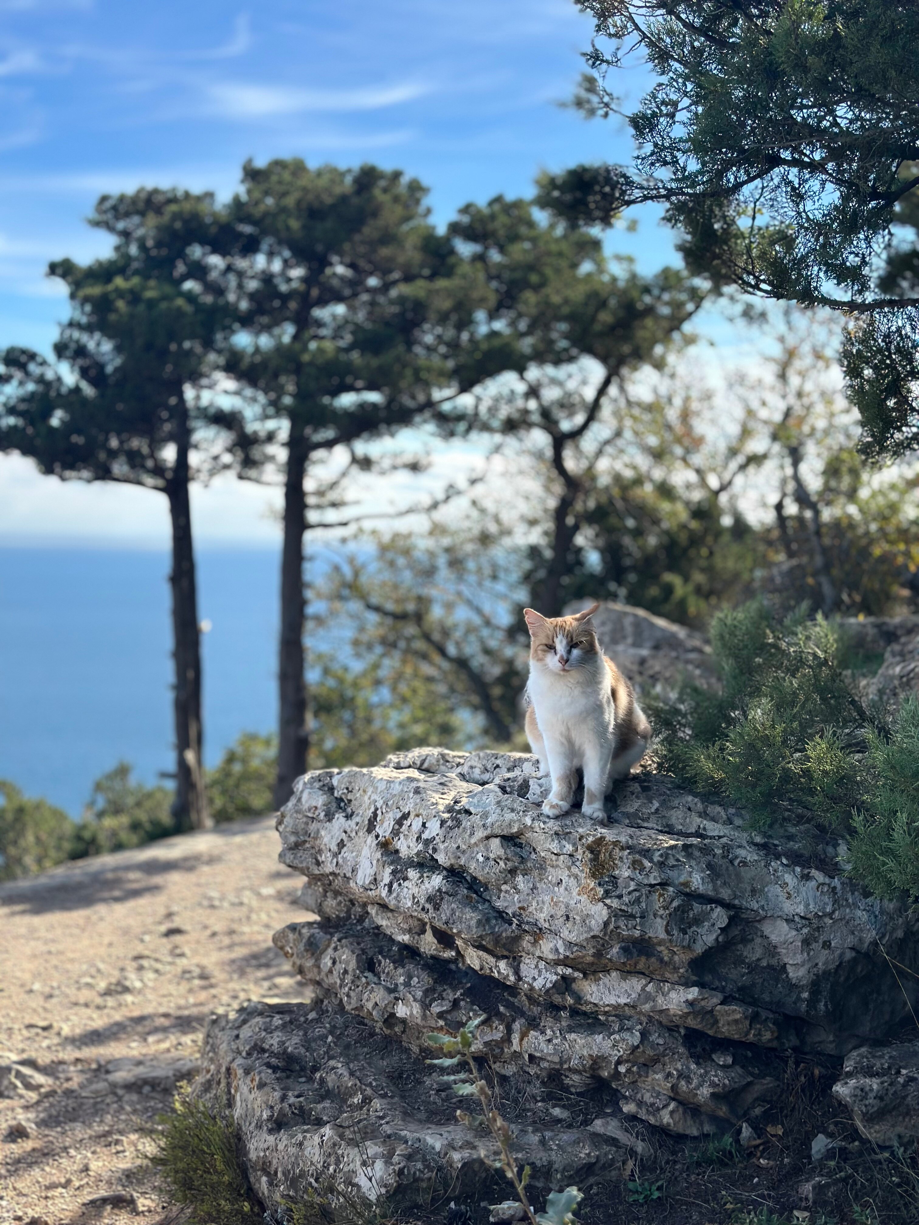 Фото Горный