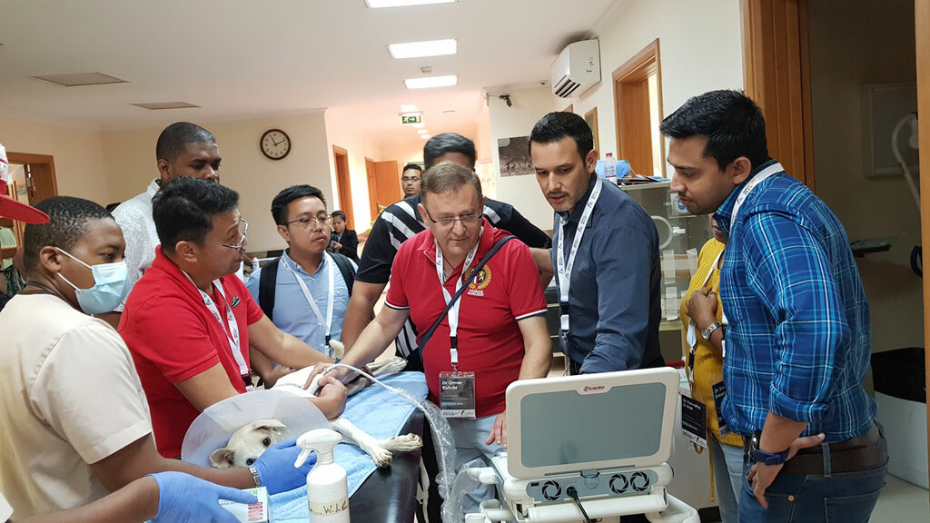 Medical equipment Medical Plus Middle East, Dubai, photo