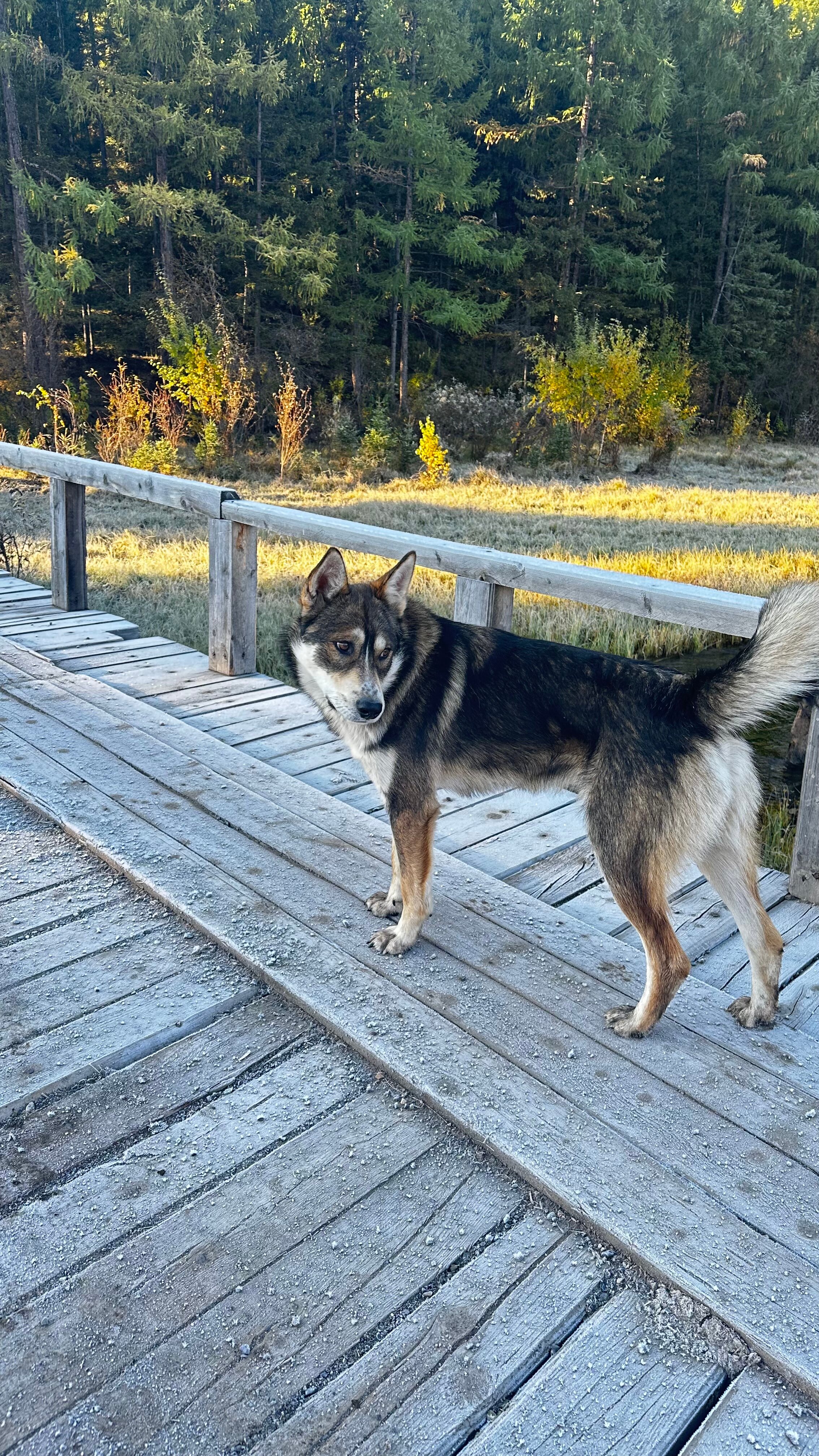 Фото Атмосфера Алтая